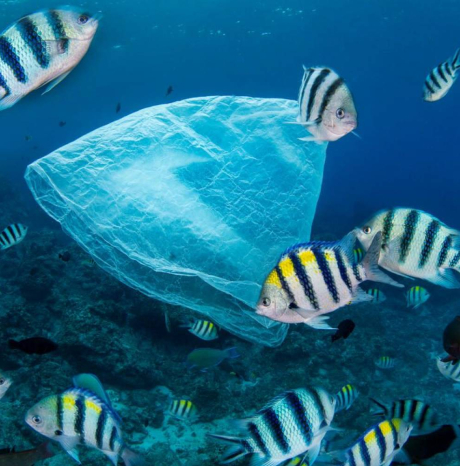  Un’estate più blu con Ogyre  