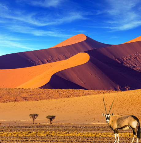 Meraviglie di un viaggio in Namibia - I Mercoledi di Pozzo Garitta 
