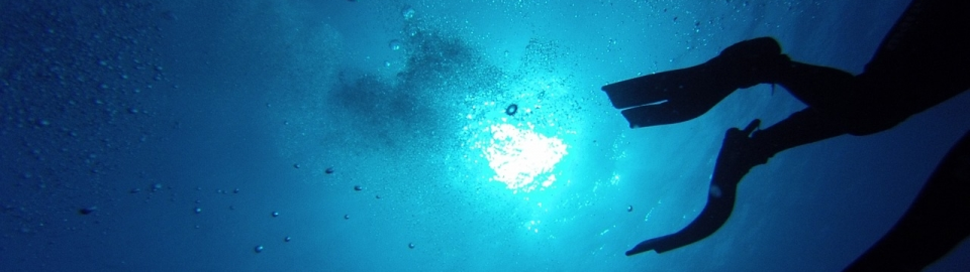 SNORKELING - ALLA SCOPERTA DELLA VITA SOTT'ACQUA