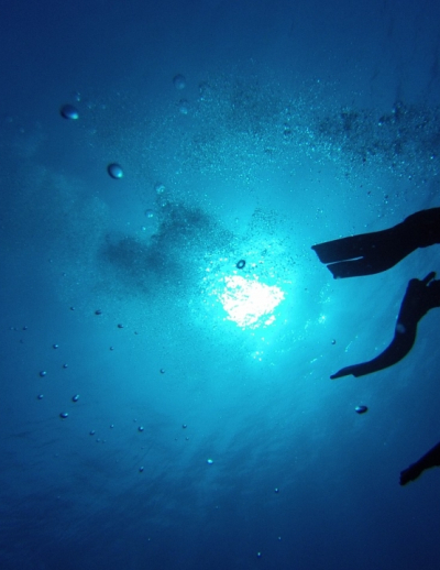 SNORKELING - ALLA SCOPERTA DELLA VITA SOTT'ACQUA