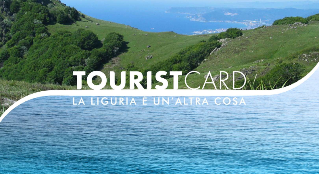 TOURIST CARD