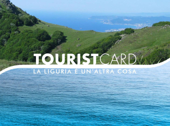 TOURIST CARD
